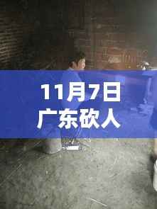 广东再现悲剧，深度解析2017年11月7日砍人案内幕