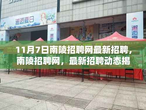 11月7日南陵招聘网最新招聘动态,职业机遇与挑战揭秘