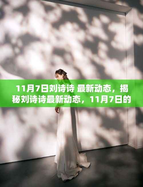 揭秘刘诗诗最新动态,星光闪耀的11月7日纪实
