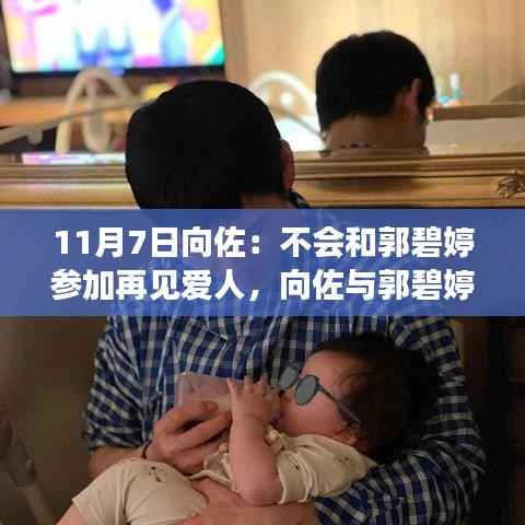 向佐与郭碧婷的爱波折前行,缺席再见爱人,情感依旧坚定