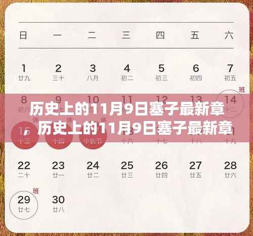 历史上的11月9日塞子最新章,任务完成与技能学习全攻略(初学者与进阶用户必读)