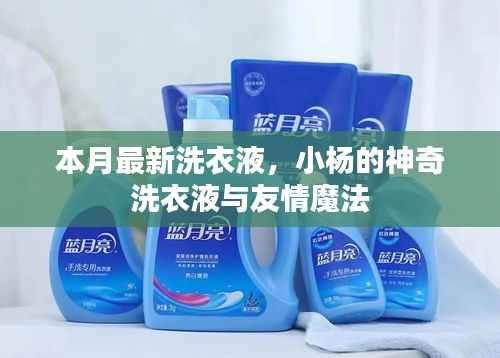 小杨神奇洗衣液,友情魔法与本月最新洗涤体验