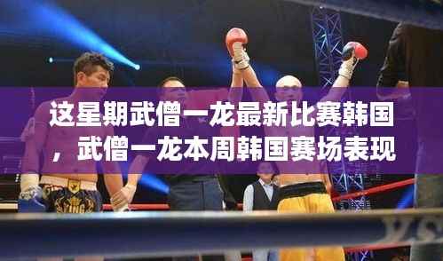 武僧一龙韩国赛场表现大解析,特性、体验、竞品对比及用户群体深度探讨