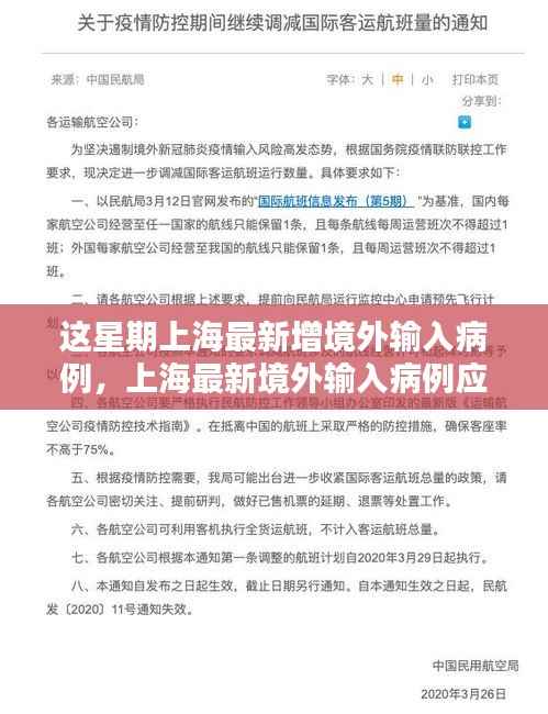 上海境外输入病例应对指南,从初学者到进阶用户的实用步骤与最新动态观察