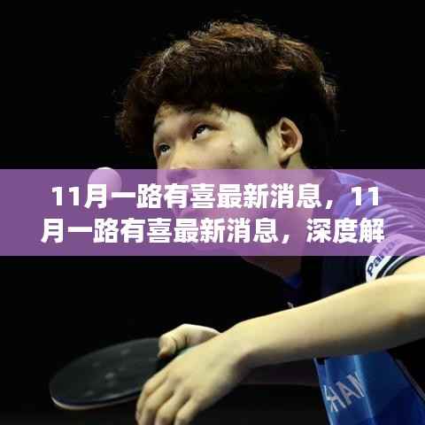 深度解读与观点阐述,11月一路有喜最新消息汇总