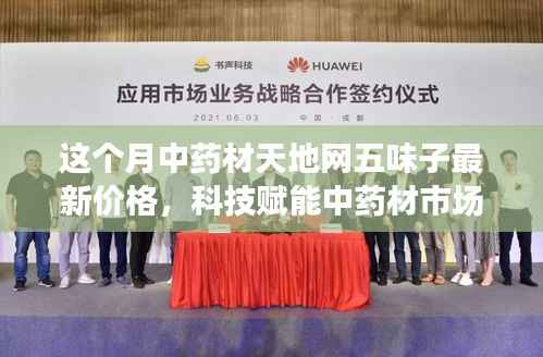 科技赋能下的中药材市场，中药材天地网五味子最新价格解析