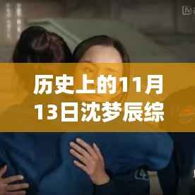 沈梦辰综艺之旅,探寻自然美景背后的心灵宁静日纪实记录于11月13日