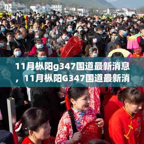 枞阳G347国道建设进展与影响解析,最新消息及我之见