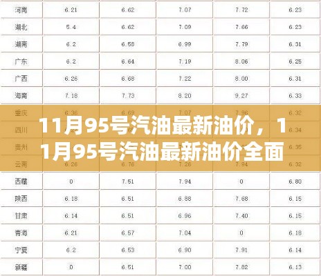 11月95号汽油最新油价全面评测与介绍