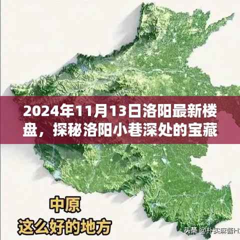 探秘洛阳宝藏楼盘,小巷深处的特色小店与独特环境(2024年11月最新)