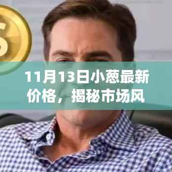 揭秘市场风云,11月13日小葱最新价格走势观察