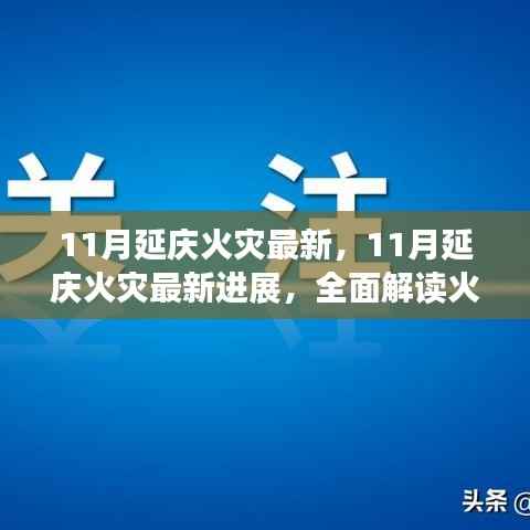 全面解读，延庆11月火灾最新进展、灾后重建与防范应对策略