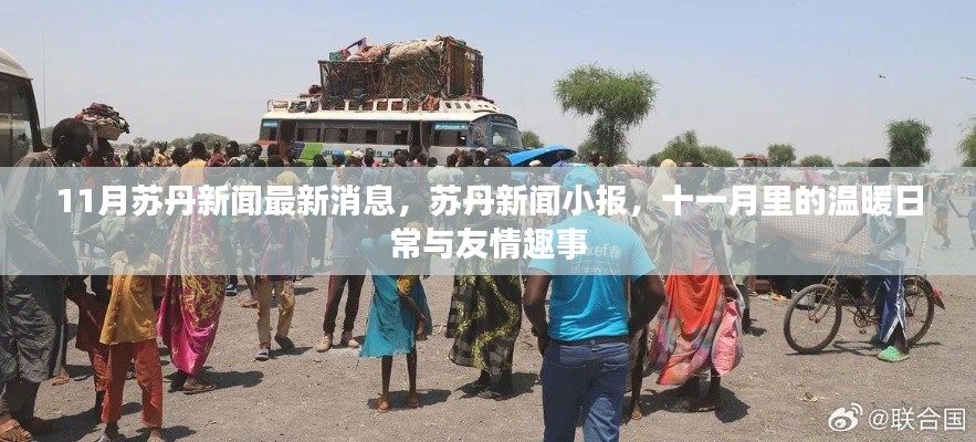 苏丹新闻最新动态,十一月日常与友情趣事小报