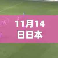 掌握日本最新资讯,轻松获取日本最新动态指南(11月14日更新)