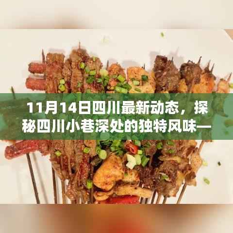 探秘四川小巷深处的独特风味,最新动态揭秘四川(11月14日更新)