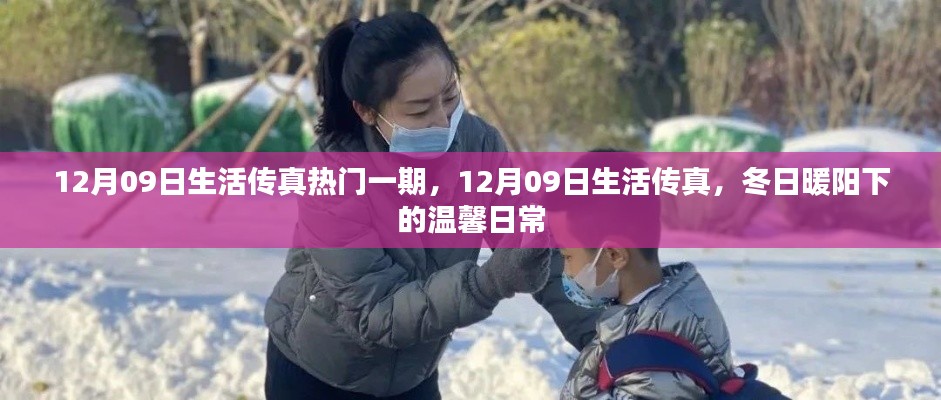 冬日暖阳下的温馨日常,12月09日生活传真独家热门一期