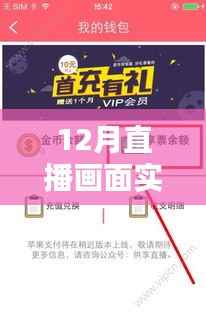 揭秘小红书直播画面实时提取器,神奇魅力与实用指南