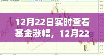 12月22日基金市场实时洞察，把握涨幅，洞悉投资先机