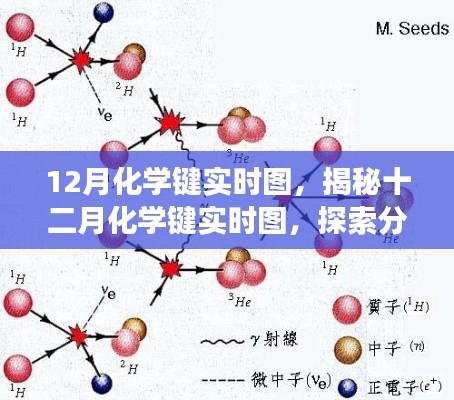 揭秘十二月化学键实时图,探索分子间的奥秘之旅