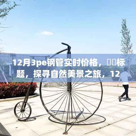 探寻自然美景之旅,揭秘12月3PE钢管实时价格与内心宁静的交融