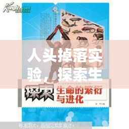 人头掉落实验,探索生命伦理边界的挑战