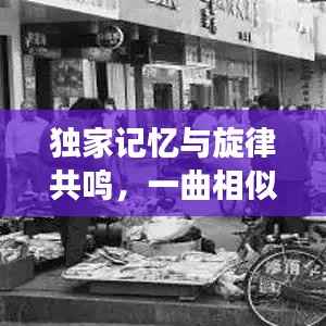 独家记忆与旋律共鸣，一曲相似的情感旅程