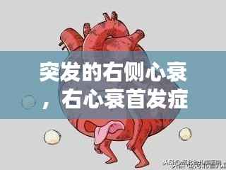 突发的右侧心衰,右心衰首发症状