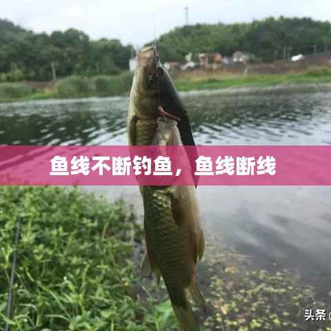 飞扬拨扈 第3页