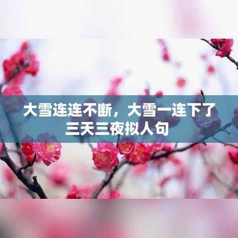 大雪连连不断,大雪一连下了三天三夜拟人句