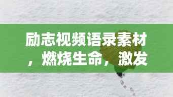 励志视频语录素材,燃烧生命,激发无限潜能力量