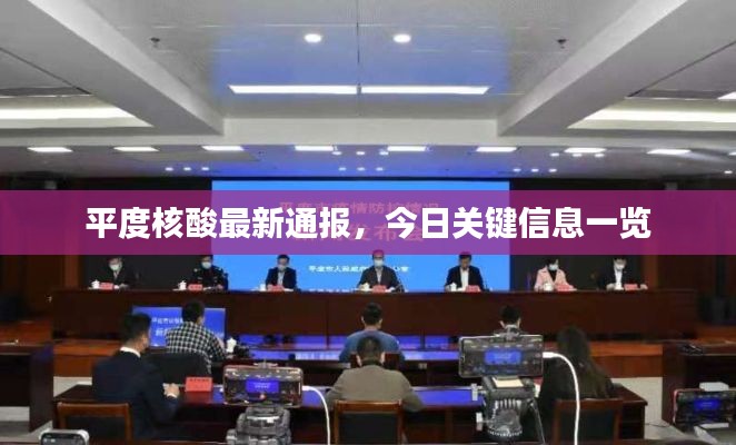 平度核酸最新通报,今日关键信息一览