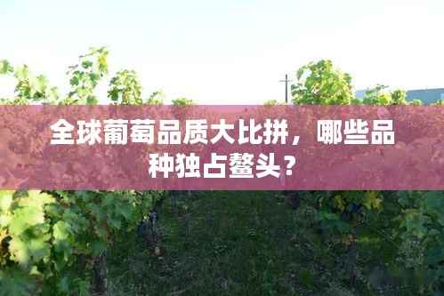 后会难期