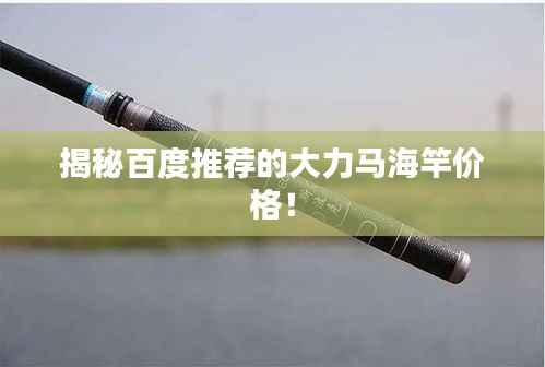 揭秘百度推荐的大力马海竿价格!