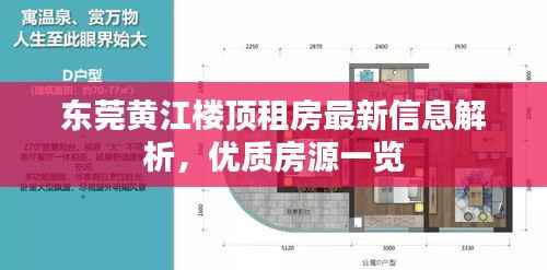 东莞黄江楼顶租房最新信息解析，优质房源一览