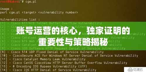 账号运营的核心，独家证明的重要性与策略揭秘
