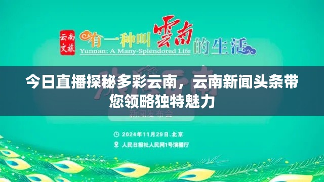 无拘无束 第2页