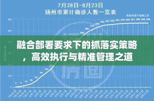 融合部署要求下的抓落实策略,高效执行与精准管理之道