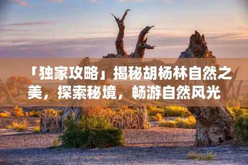 联系我们 第106页