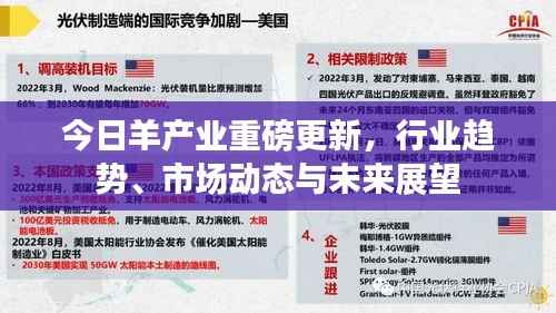 今日羊产业重磅更新，行业趋势、市场动态与未来展望