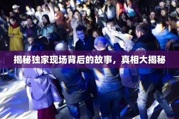 草率从事