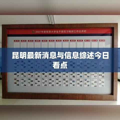 昆明最新消息与信息综述今日看点